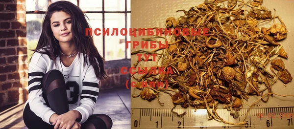 круглые Покачи