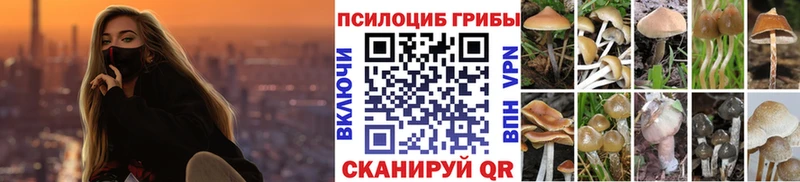 hydra как зайти  Алатырь  Псилоцибиновые грибы ЛСД 