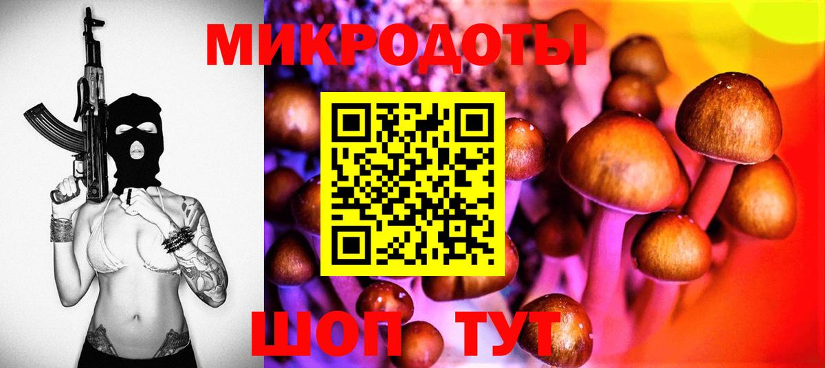 Галлюциногенные грибы ЛСД  Вход с VPN  Галлюциногенные грибы ЛСД  где продают   Алатырь 